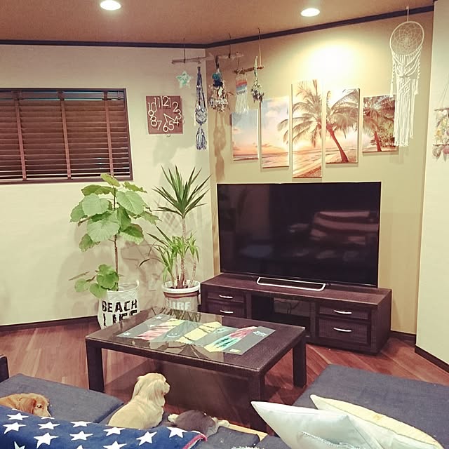 cocosorasakuさんの実例写真