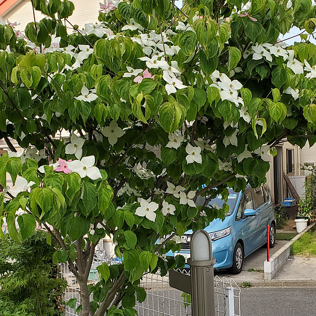 s.chi-ko628さんの実例写真