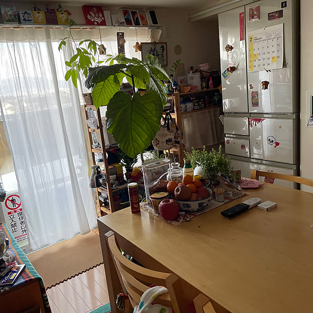 umiさんの実例写真