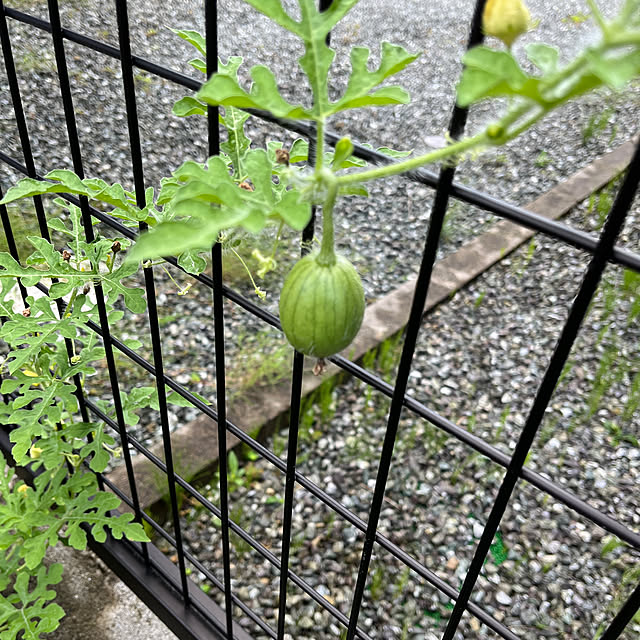 nachiさんの部屋