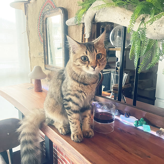 Mさんの実例写真