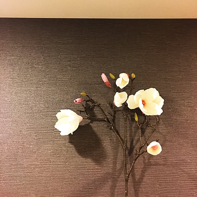 emiy_vさんの実例写真