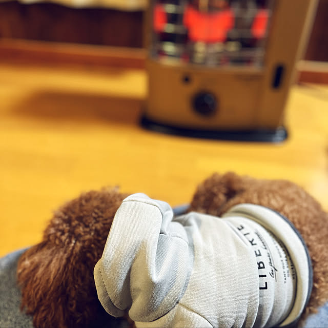 andgreenさんの実例写真