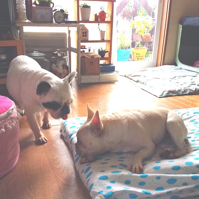 38coreさんの実例写真