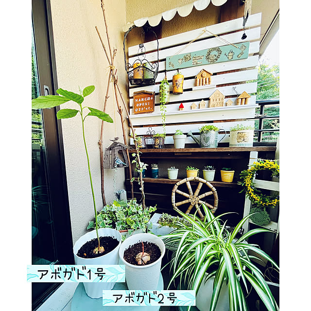 NAOさんの部屋