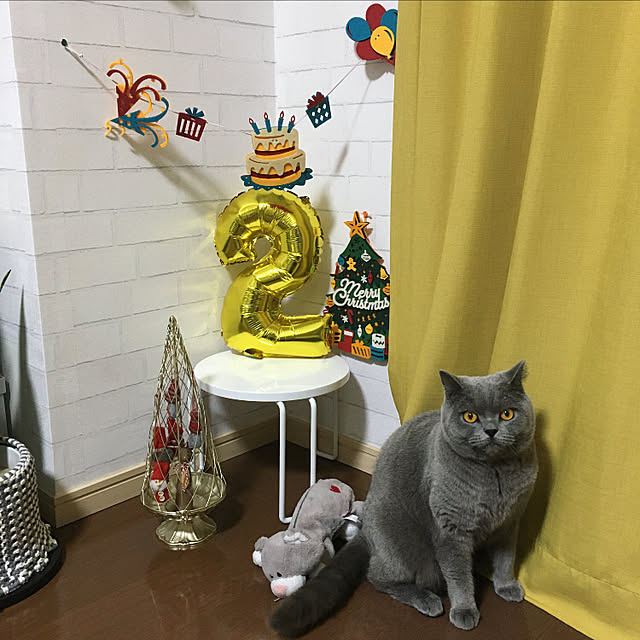 kittyさんの実例写真