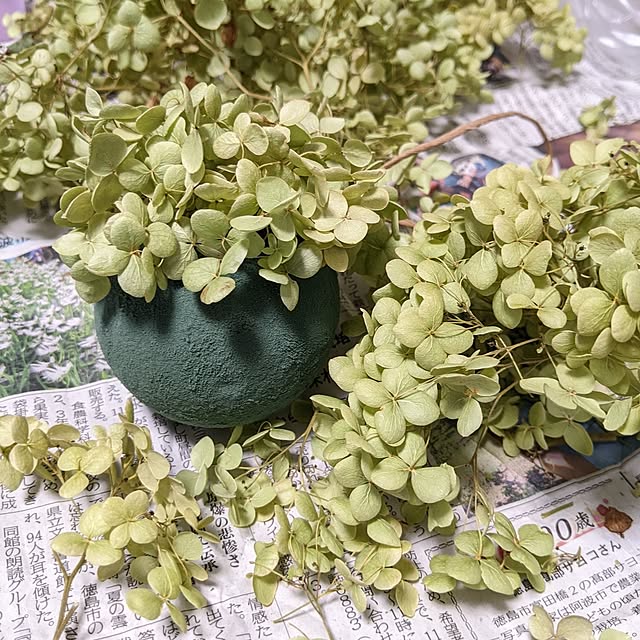 ichi.さんの部屋