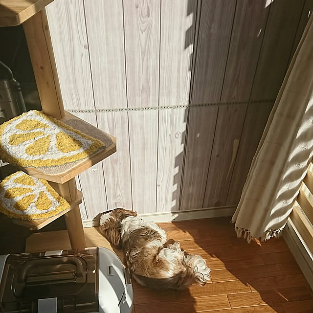 SHIHOさんの実例写真