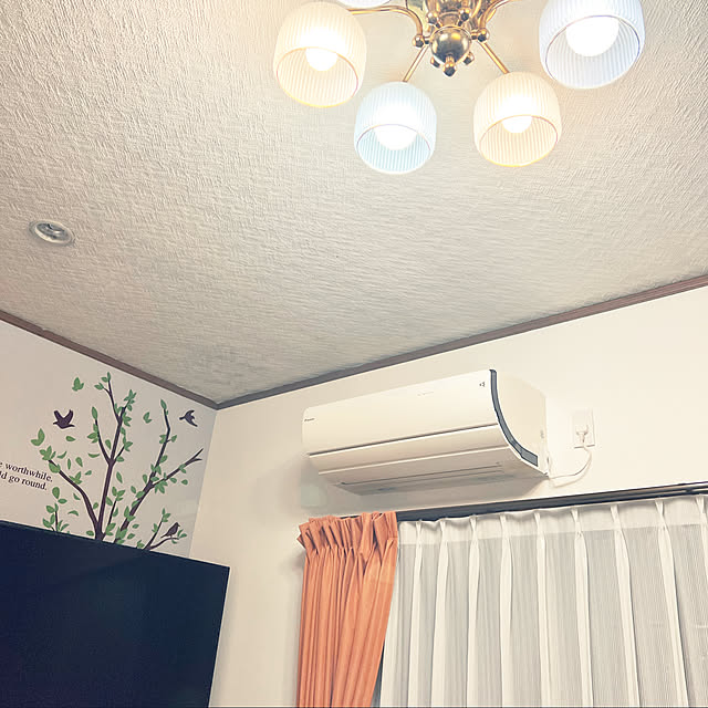cat5さんの実例写真