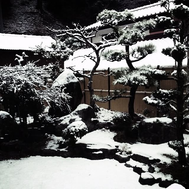 9198_eさんの実例写真