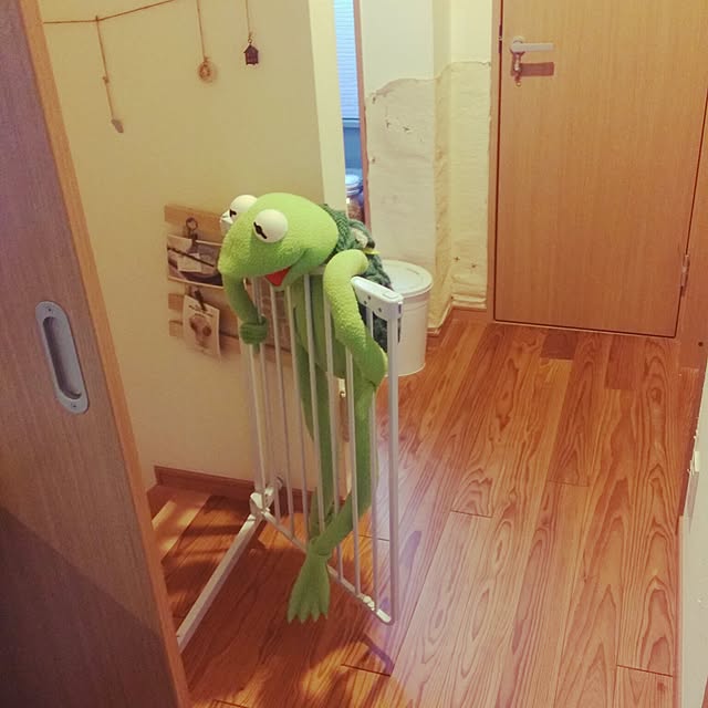 morokyuさんの実例写真