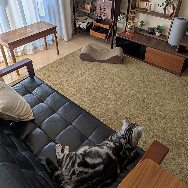 lovepeaceさんの部屋
