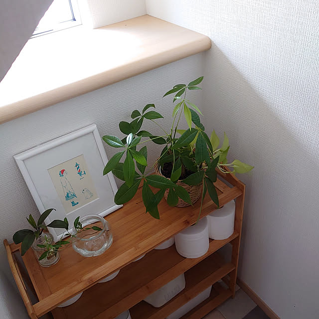 rinrinさんの実例写真