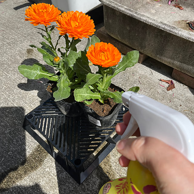 mogumoguさんの部屋