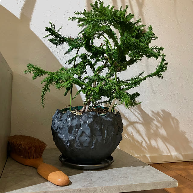 nuruiさんの実例写真