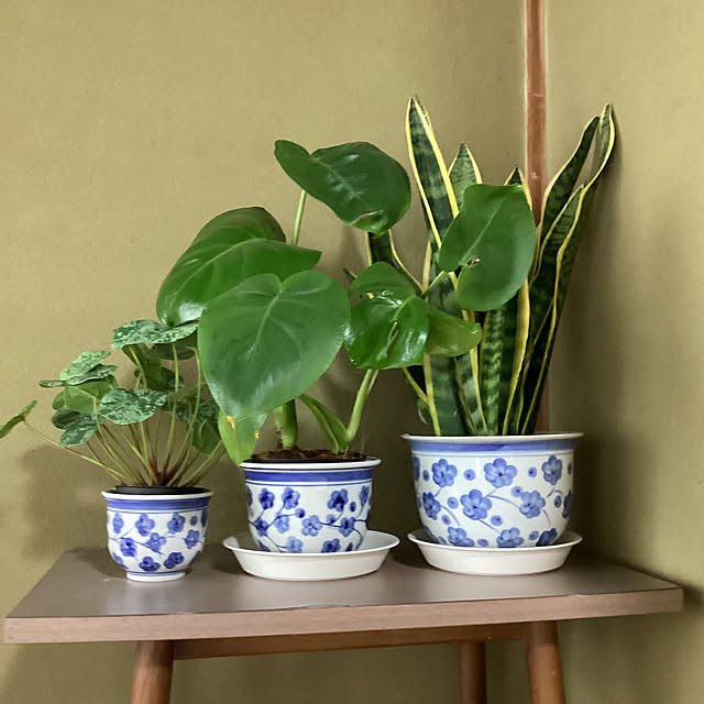 conatuさんの部屋