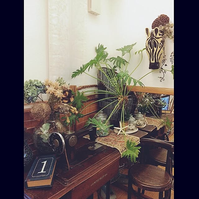 mjさんの実例写真