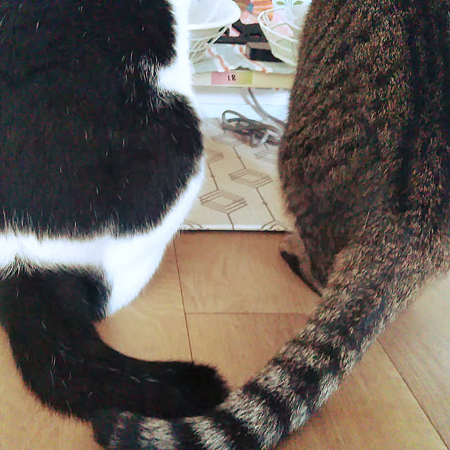futukoさんの実例写真