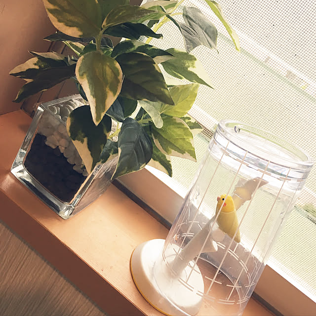 Ikumiさんの実例写真