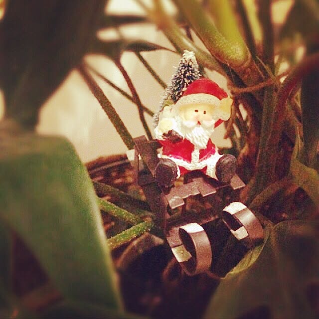 arukumaさんの実例写真