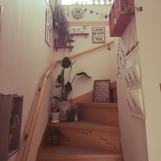 実例写真