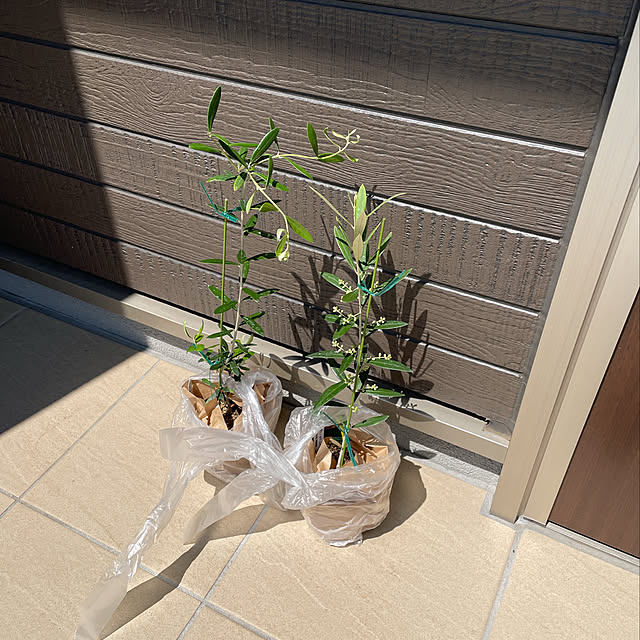 sakabe_shinさんの実例写真
