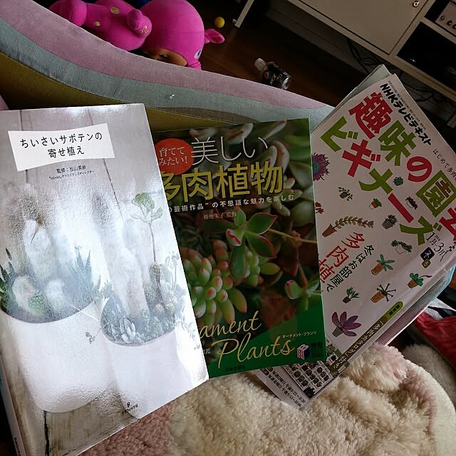 COLeCoさんの実例写真