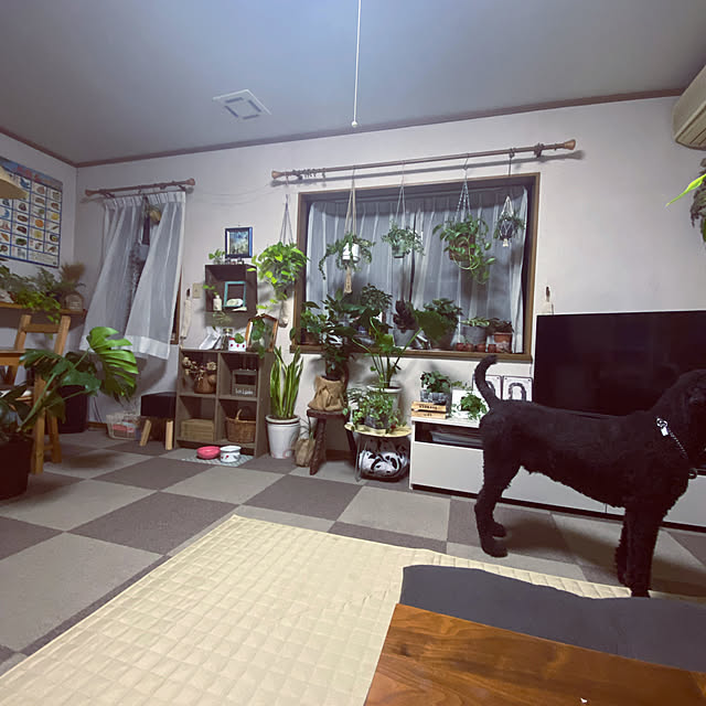 部屋全体のインテリア実例 - 2021-09-25 00:09:10