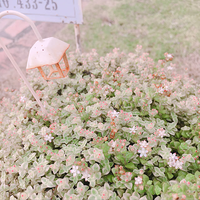 t.m.r.sさんの実例写真