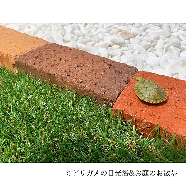 chaluさんの実例写真