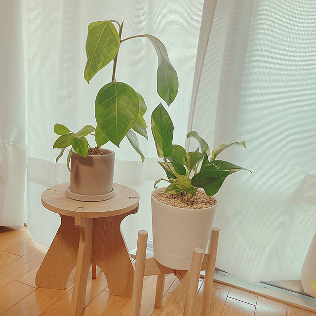 ejroomさんの実例写真
