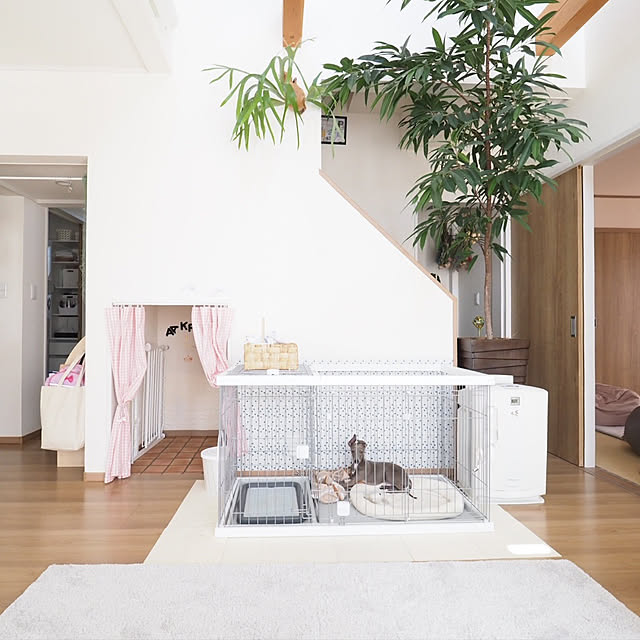 観葉植物 犬ケージのおすすめ商品とおしゃれな実例 | RoomClip 観葉植物 犬ケージのおすすめ商品とおしゃれな実例 | RoomClip