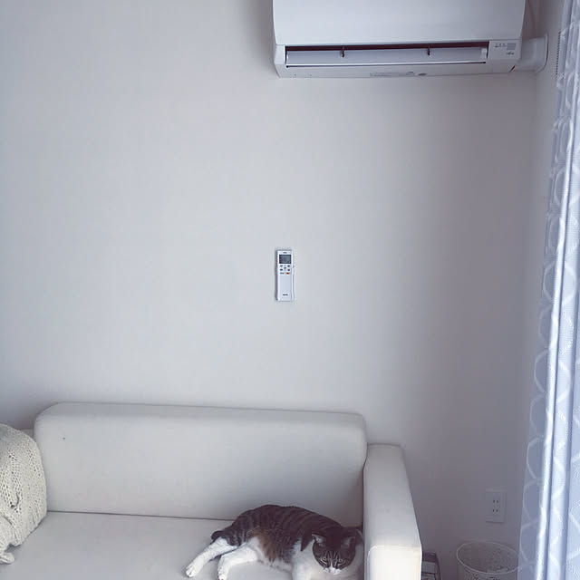 noji521さんの実例写真