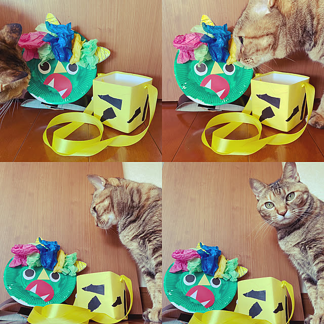hansho.sさんの実例写真