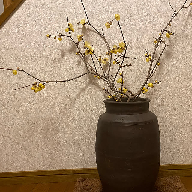 SAさんの実例写真
