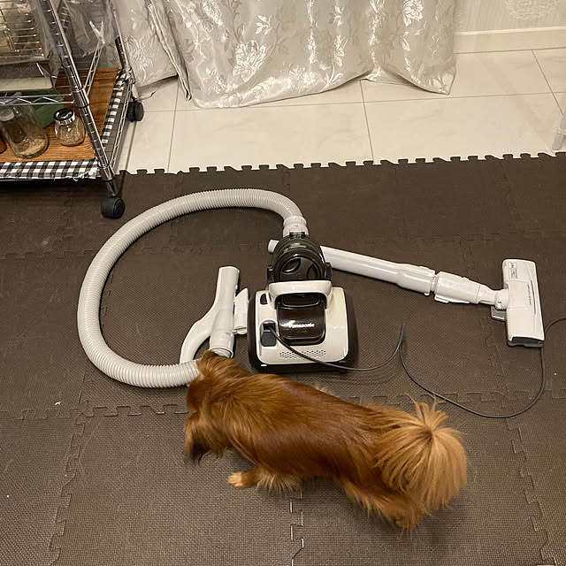 toratanさんの実例写真