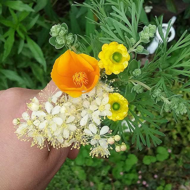 yukkoさんの実例写真