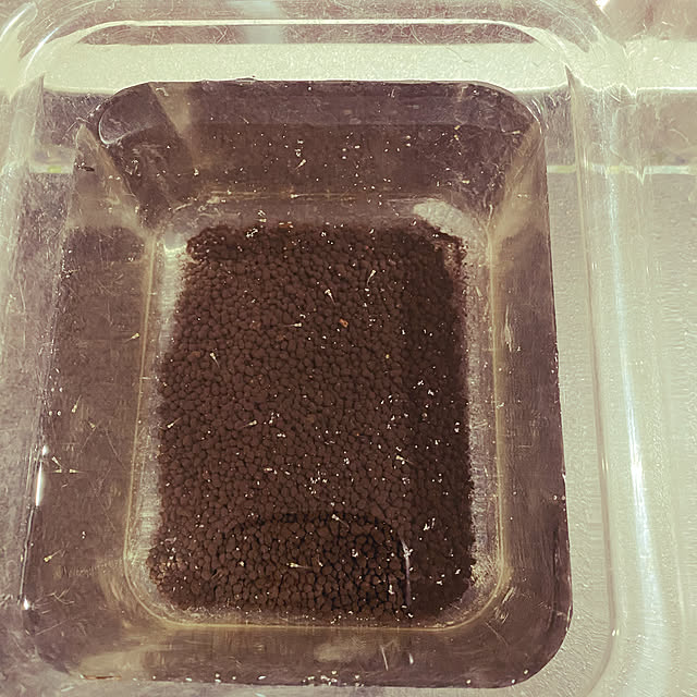 Erenaさんの実例写真