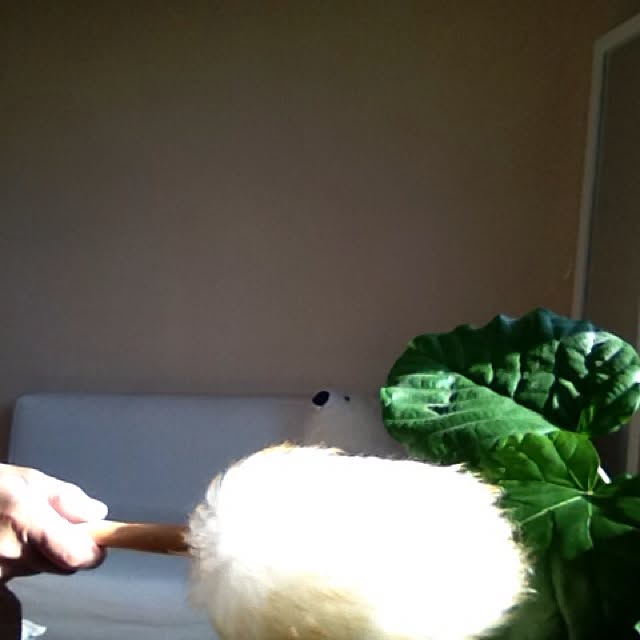 Mikaさんの実例写真