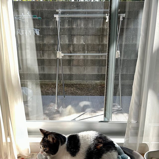 hemukoさんの実例写真