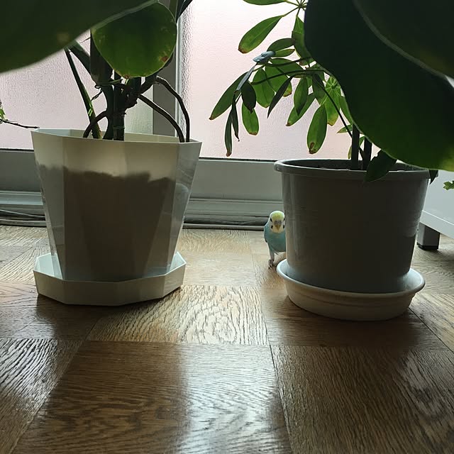 Keisukeさんの実例写真