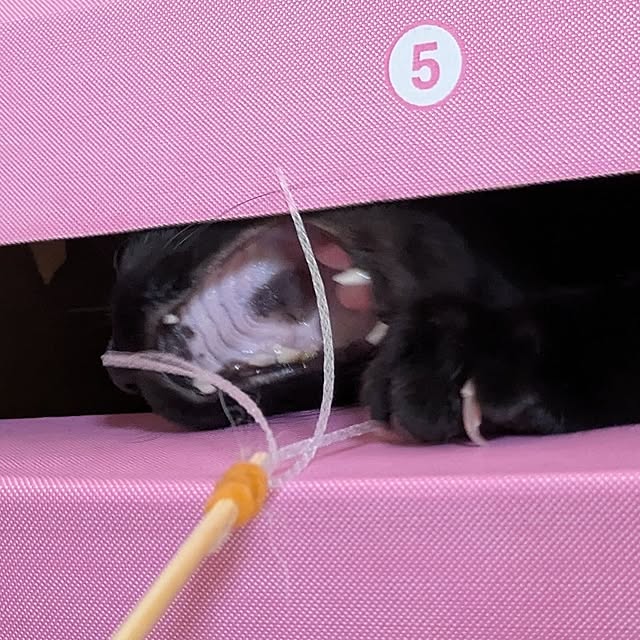 asaさんの部屋