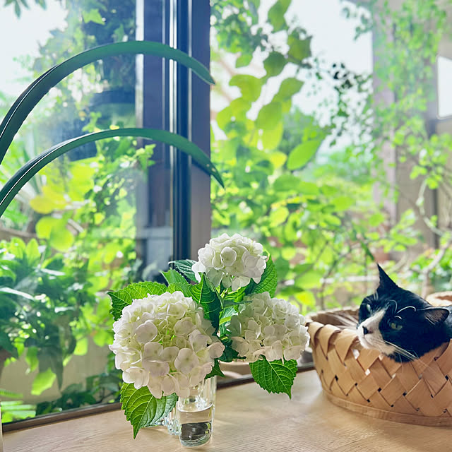 pooさんの部屋