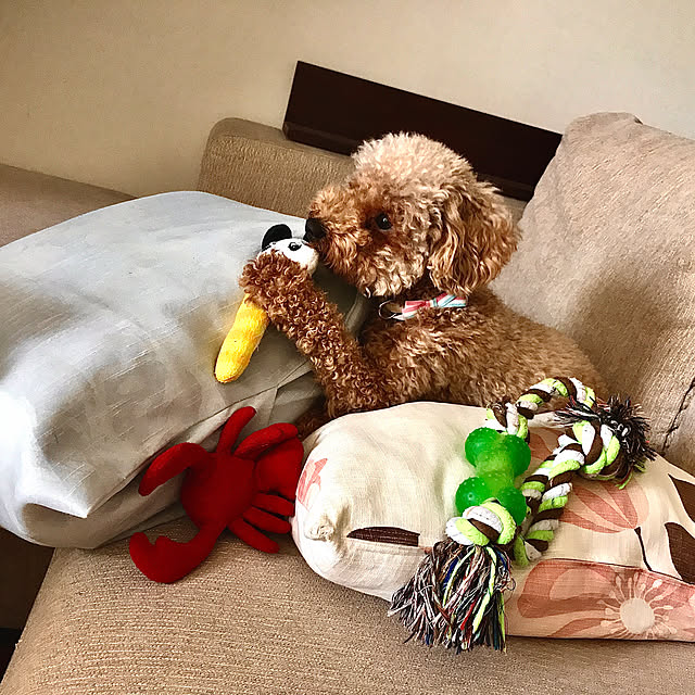 yullyさんの実例写真
