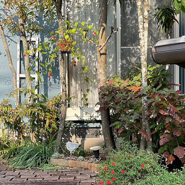 nobikoさんの部屋