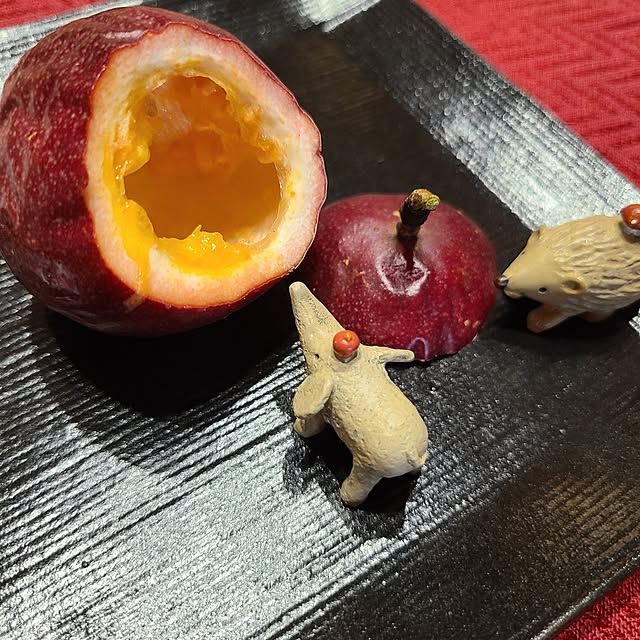 Rubiconさんの実例写真