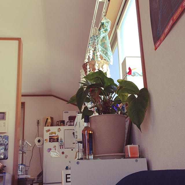 Malamaさんの実例写真