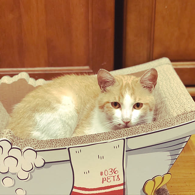 happyさんの実例写真
