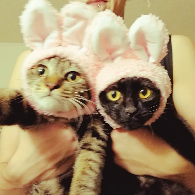 k-ai323さんの実例写真