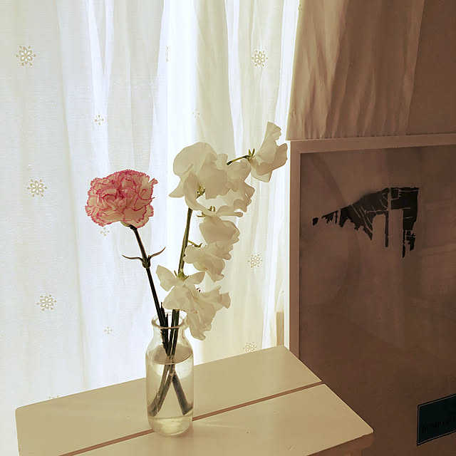 codemariさんの実例写真